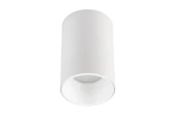 PLAFONIERA IN METALLO BIANCO TINA W1
