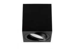 PLAFONIERA IN METALLO NERO ERBA W1