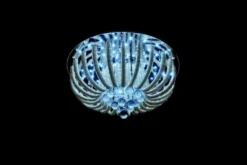 Plafoniera Luce LDP 9897 - 450