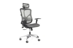 Poltrona da ufficio ergonomica Ergo 500 Grigio