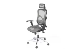 Poltrona da ufficio ergonomica Ergo 500 Grigio