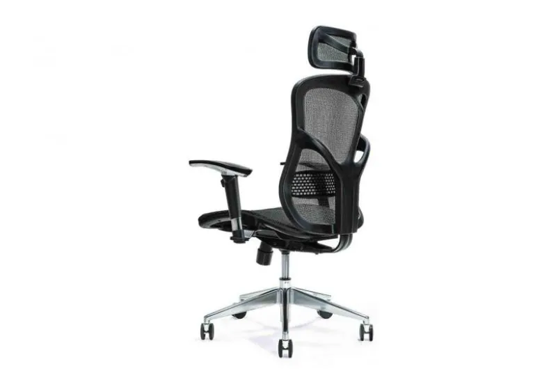 Poltrona ergonomica da ufficio Ergo 500 Nero