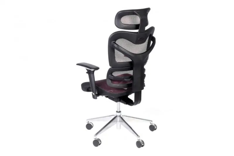 Poltrona ergonomica da ufficio Ergo 600 Prugna