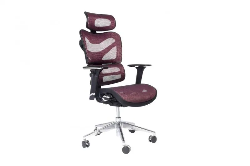 Poltrona ergonomica da ufficio Ergo 600 Prugna