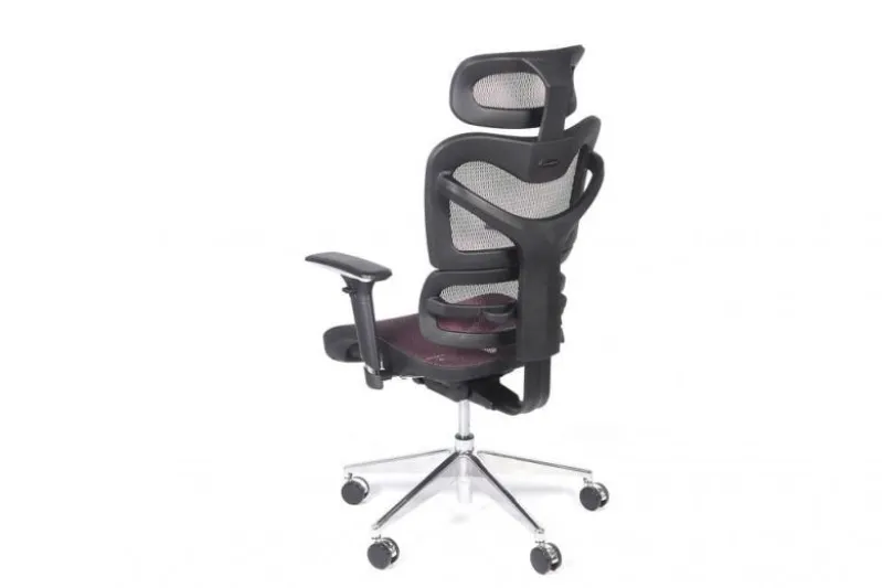 Poltrona ergonomica da ufficio Ergo 600 Prugna