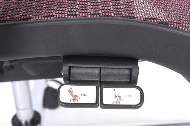 Poltrona ergonomica da ufficio Ergo 600 Prugna