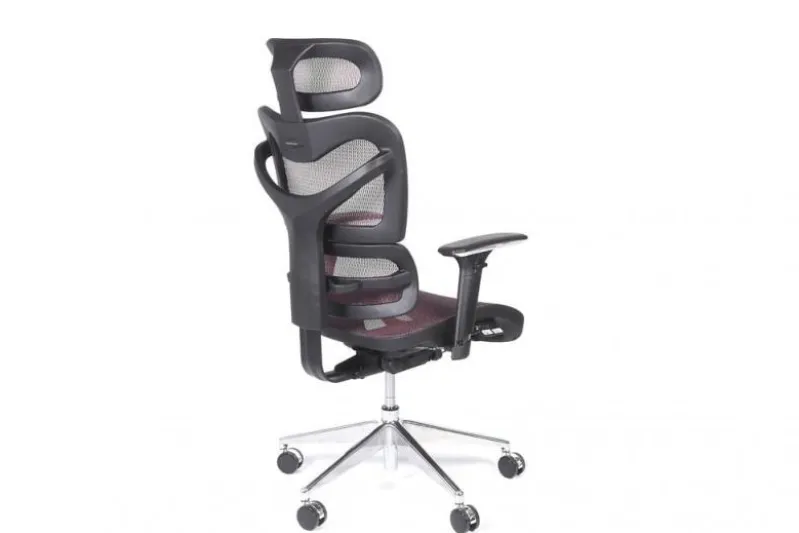 Poltrona ergonomica da ufficio Ergo 600 Prugna