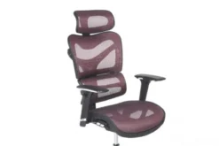 Poltrona ergonomica da ufficio Ergo 600 Prugna