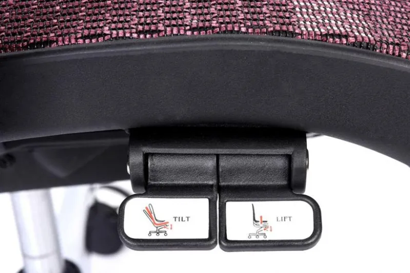 Poltrona ergonomica da ufficio Ergo 600 Prugna