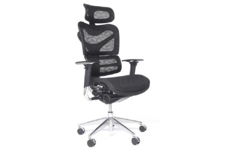 Sedia per ufficio ergonomica Ergo 700 Nero