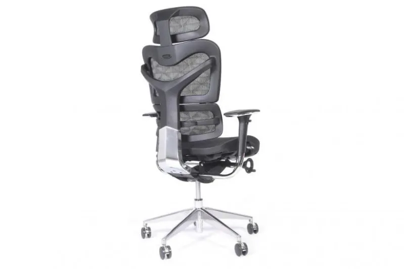 Sedia per ufficio ergonomica Ergo 700 Nero