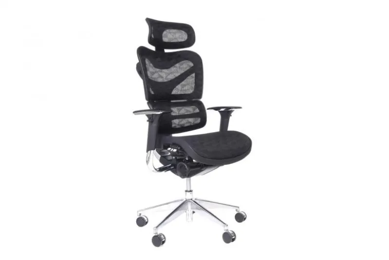 Sedia per ufficio ergonomica Ergo 700 Nero
