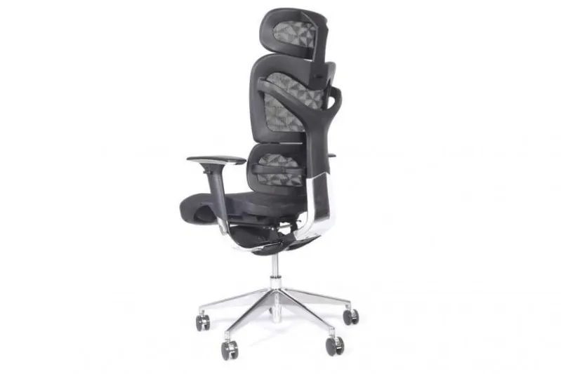 Sedia per ufficio ergonomica Ergo 700 Nero